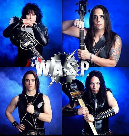 wasp